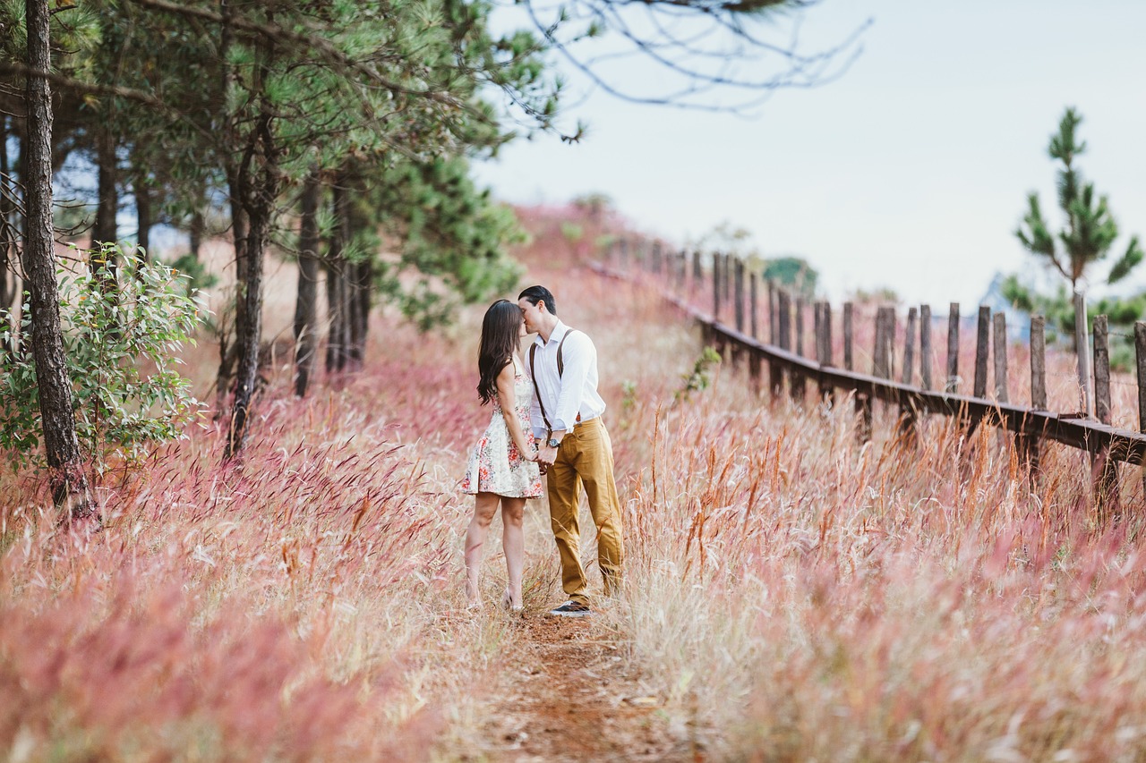 couple, kiss, field, meadow, kissing, holding hands, lovers, affection, affectionate, happy couple, couple kissing, marriage, love, vintage, man, woman, nature, outdoors, rural, countryside, couple, c