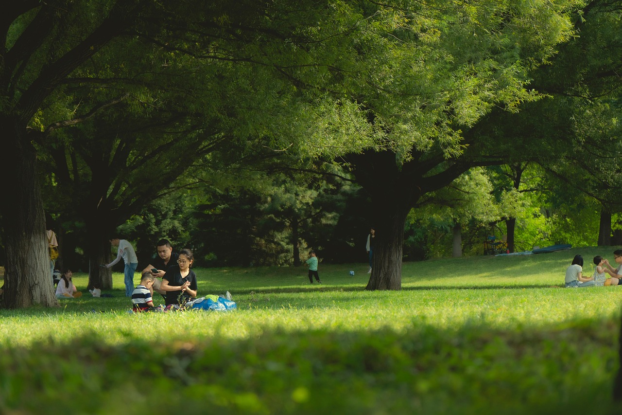 People in a park